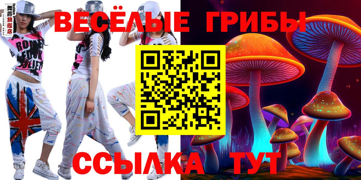 где продают   Псилоцибиновые грибы прущие грибы  Вход с VPN  Йошкар-Ола  Галлюциногенные грибы GOLDEN TEACHER 