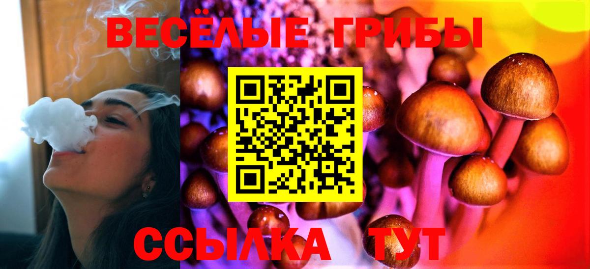 Галлюциногенные грибы Psilocybe Йошкар-Ола